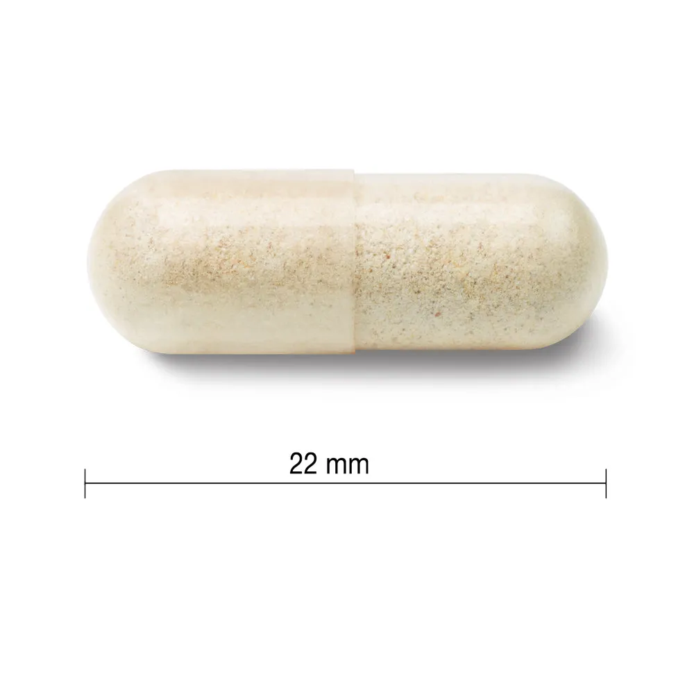 Jamieson 60 Billion Probiotic
