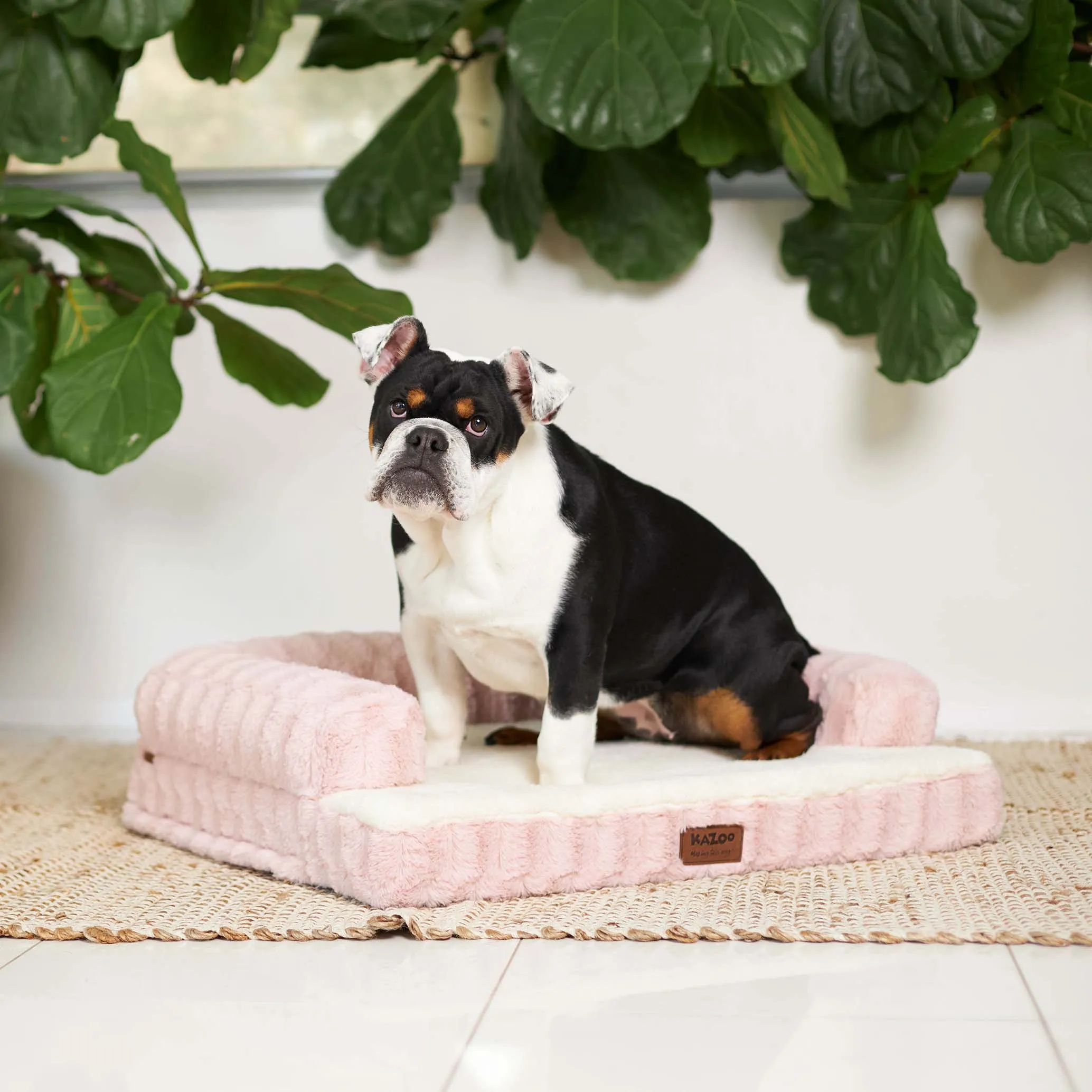 Kazoo Boudoir Medium Blush Dog Bed