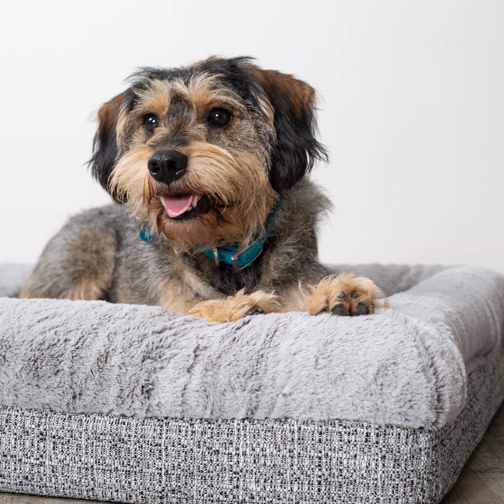 Kazoo Wombat Medium Plush Grey Dog Bed^^^