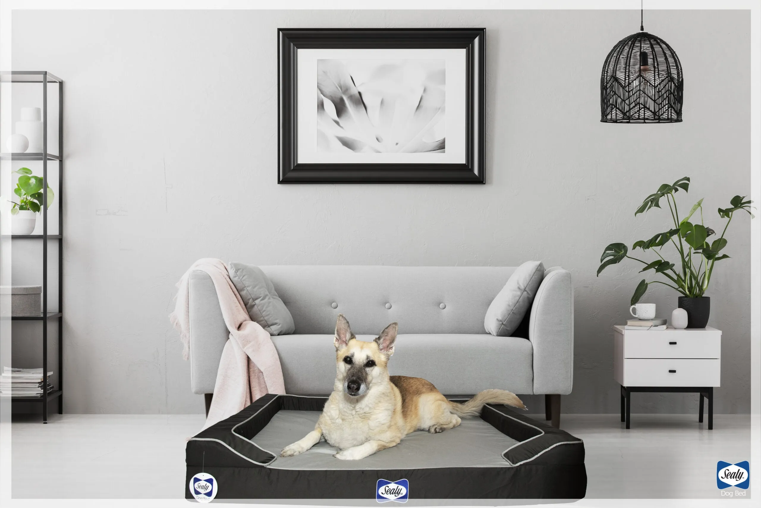 Lux Premium Dog Bed
