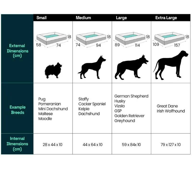 Memory Foam Dog Bed - Canvas Seafoam