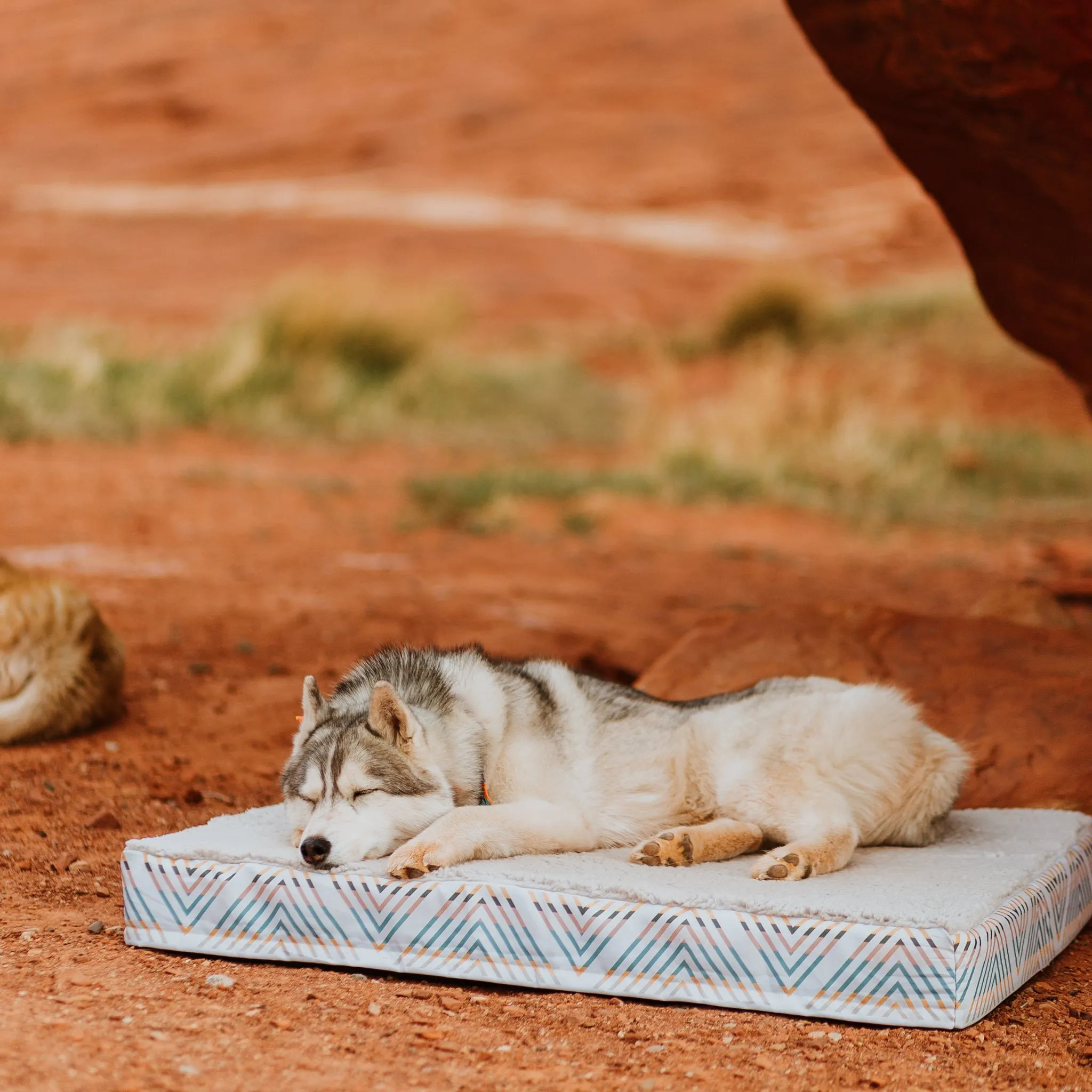 Memory Foam Dog Bed