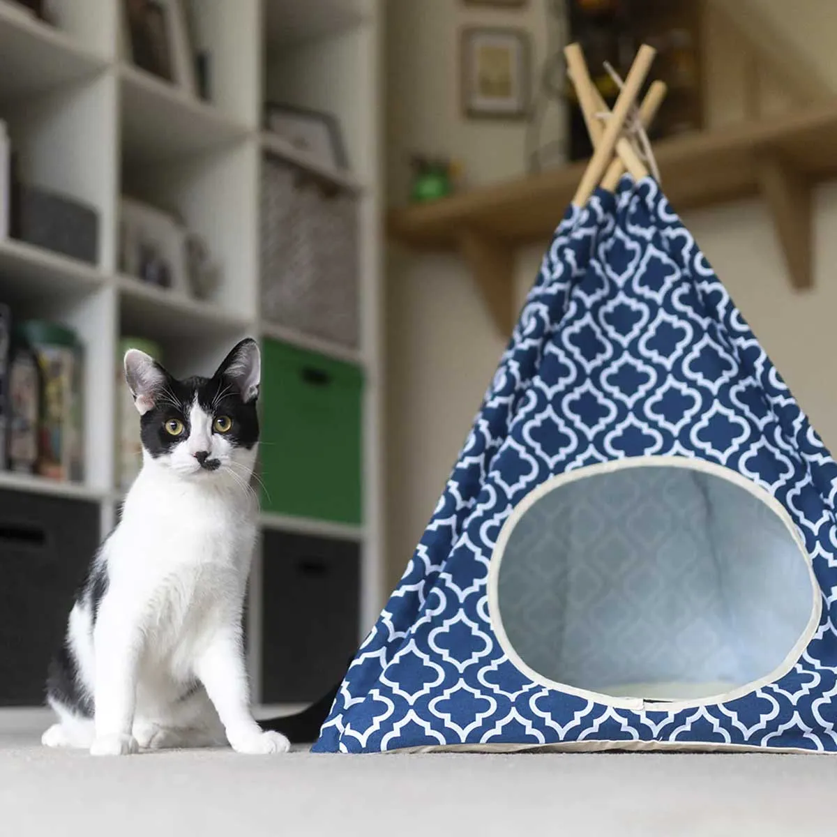 Moroccan Navy Blue Pet Teepee