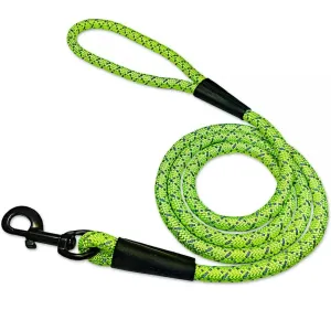 Noxgear Dog Leash