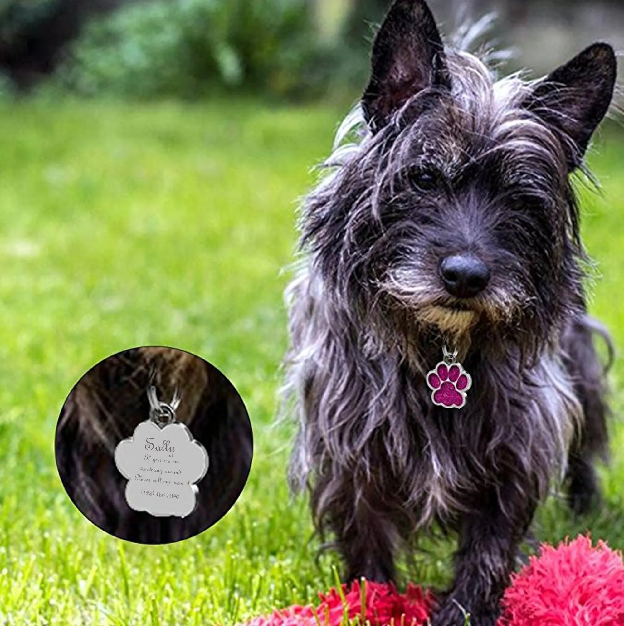 Personalized Dog Tags Paw Shape, Laser Engraved Custom Dog Tags
