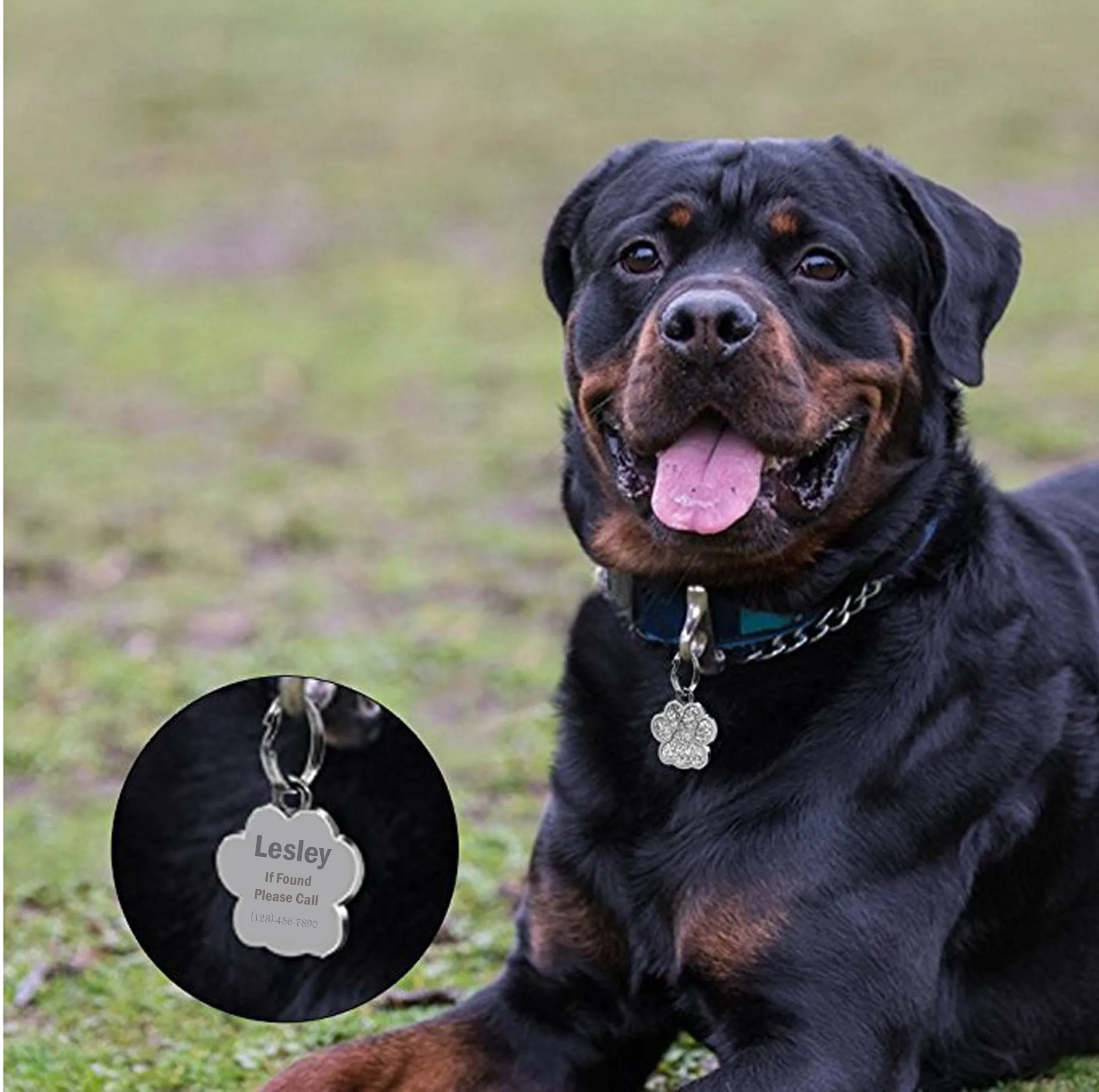 Personalized Dog Tags Paw Shape, Laser Engraved Custom Dog Tags
