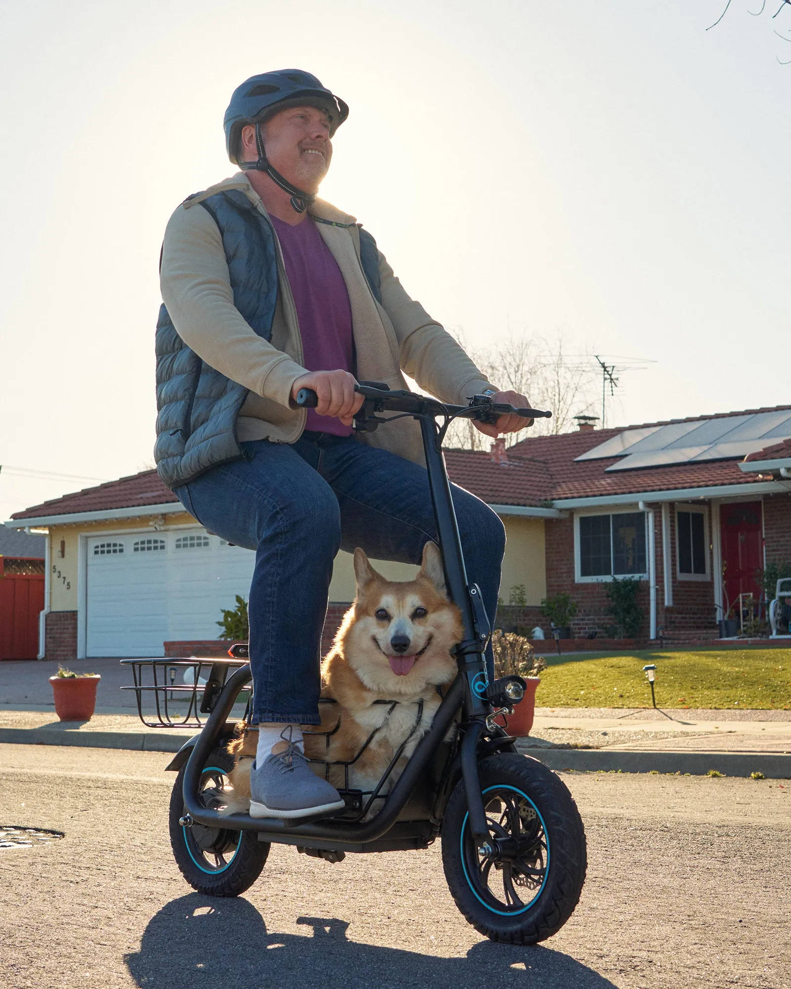 Pet Cushion for C1S Pet Travel Electric Scooter (Set of 2)
