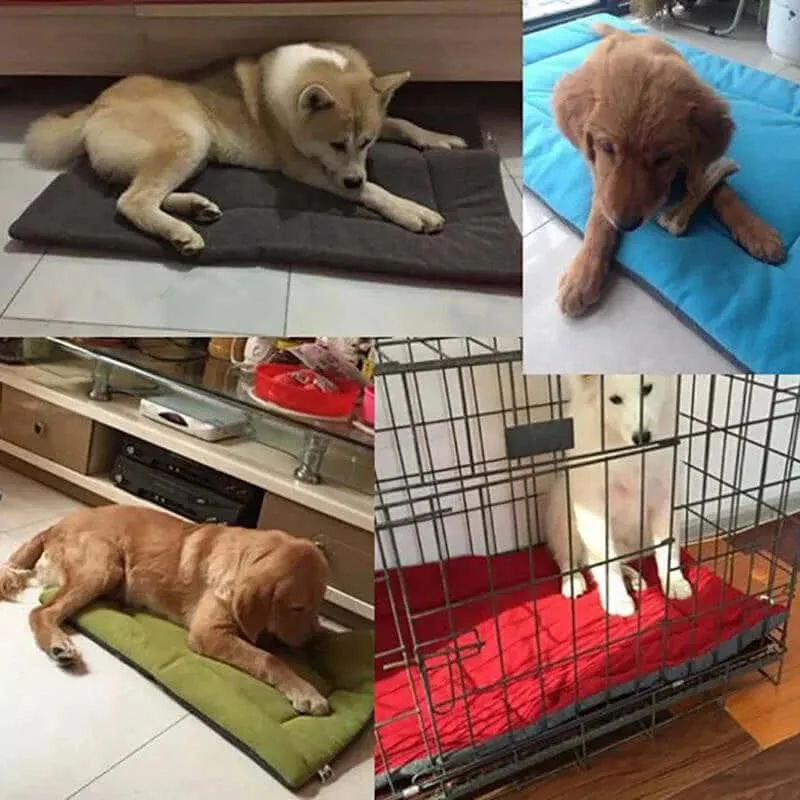 Pet Cushion Sofa Bed - multiple colors