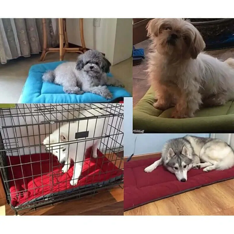 Pet Cushion Sofa Bed - multiple colors