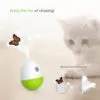 PetGeek Laser Chaser
