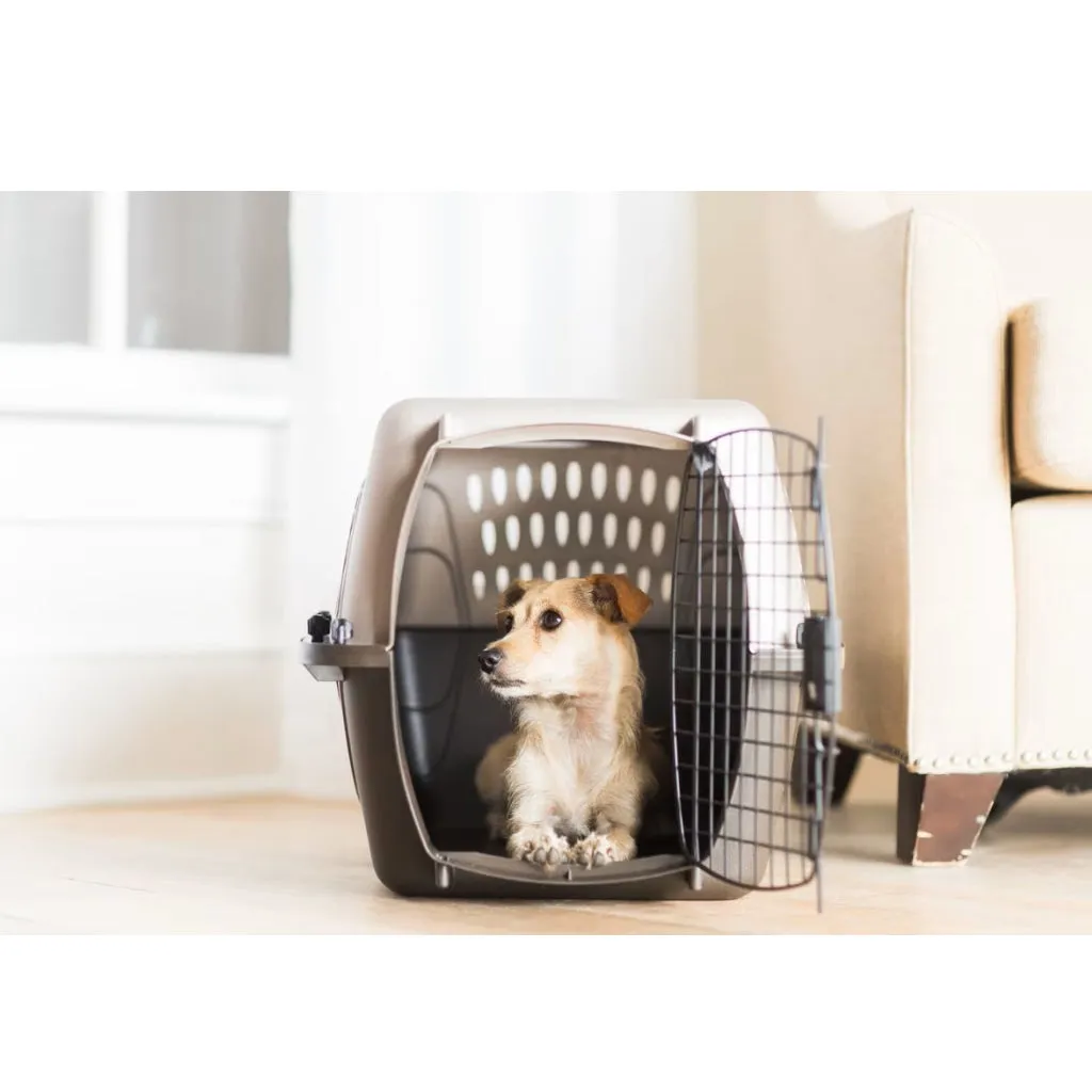 Petmate 2 Door Top Load Pet Kennel, Tan & Brown (24 inches)