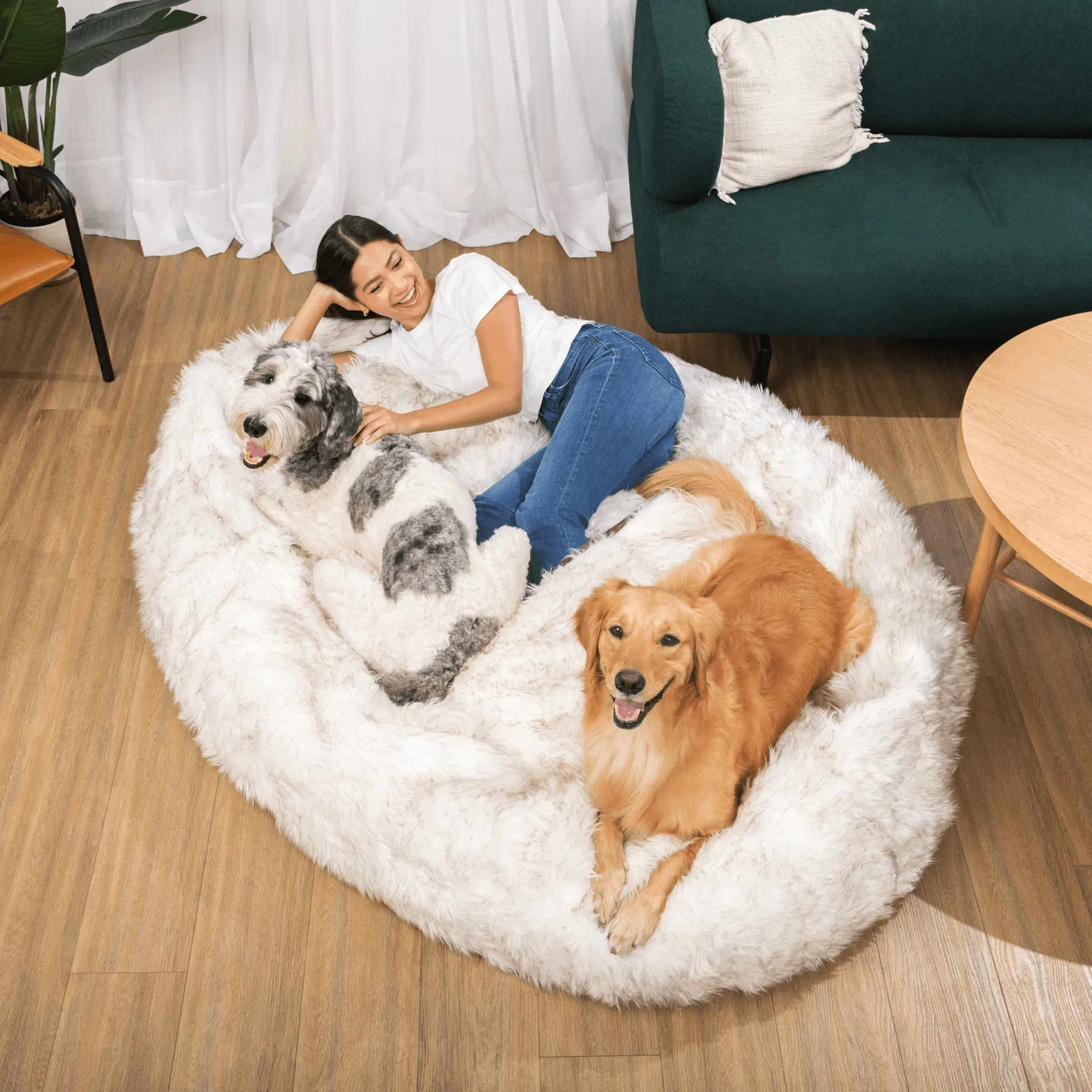 PupCloud™ Human-Size Dog Bed   Matching Waterproof Blanket Bundle - White with Brown Accents