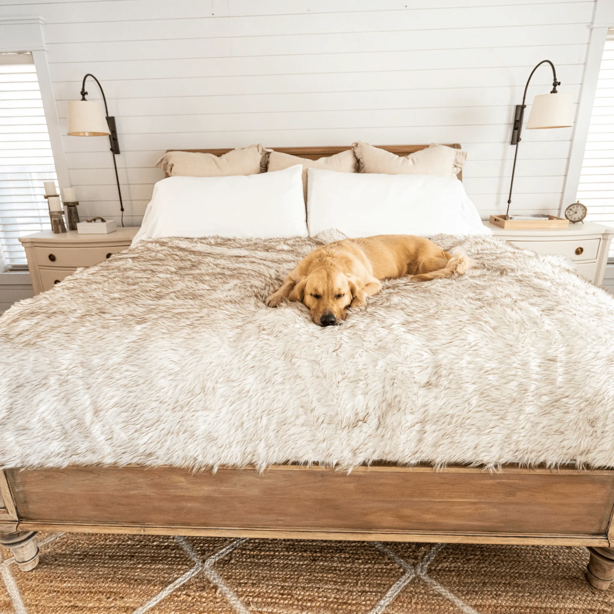PupCloud™ Human-Size Dog Bed   Matching Waterproof Blanket Bundle - White with Brown Accents