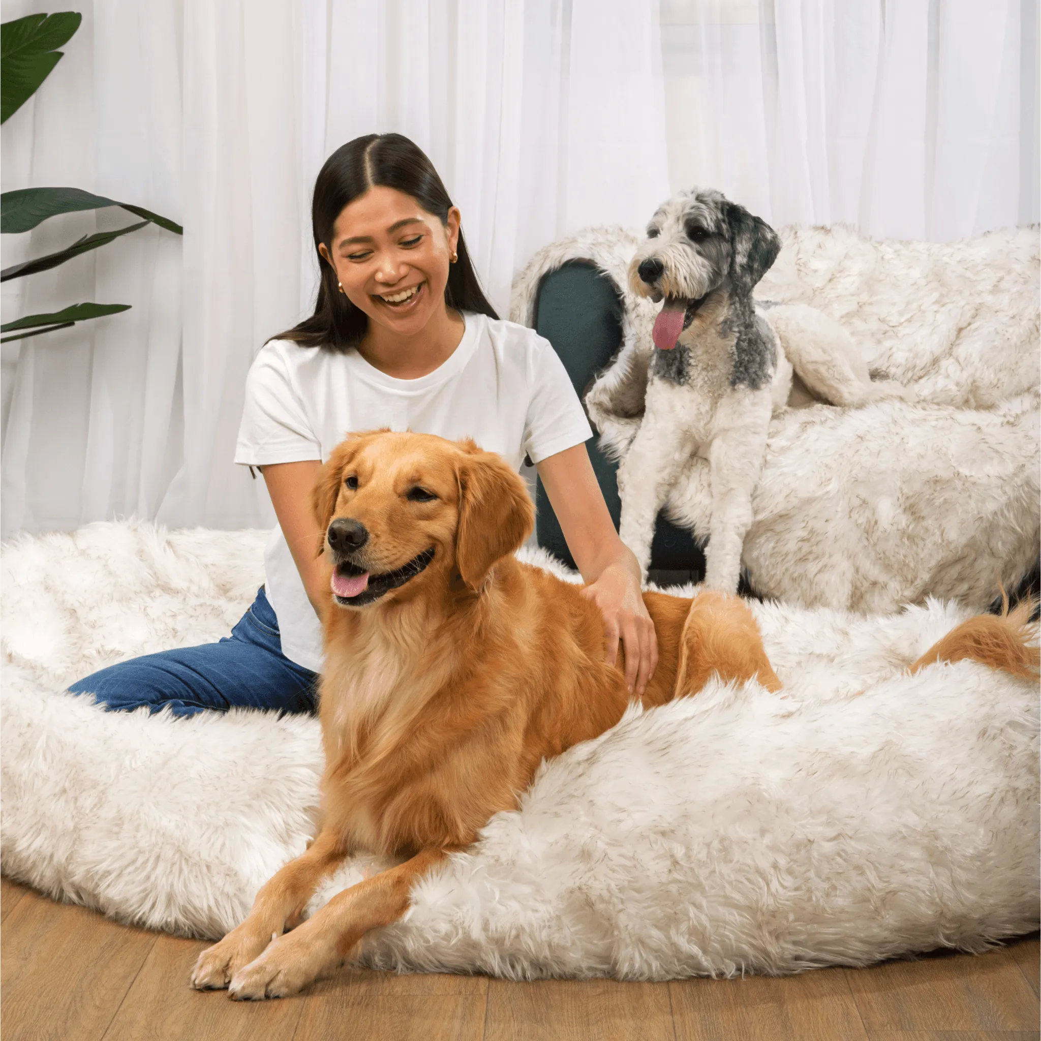 PupCloud™ Human-Size Dog Bed   Matching Waterproof Blanket Bundle - White with Brown Accents