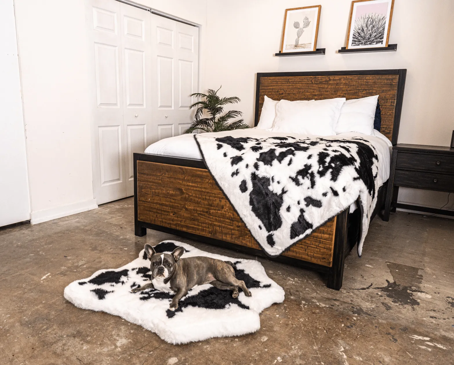 PupRug™ Junior Memory Foam Bed   Matching Waterproof Blanket Bundle - Black Faux Cowhide