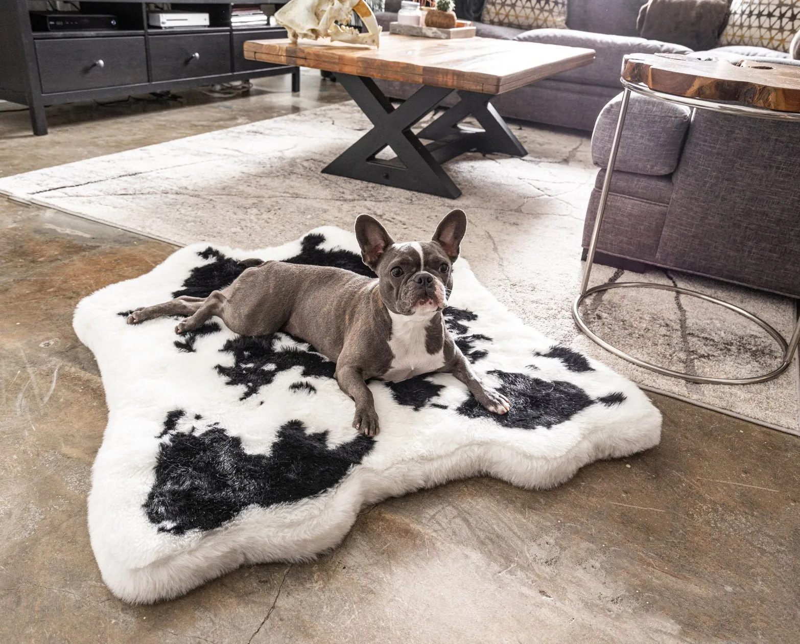 PupRug™ Junior Memory Foam Bed   Matching Waterproof Blanket Bundle - Black Faux Cowhide