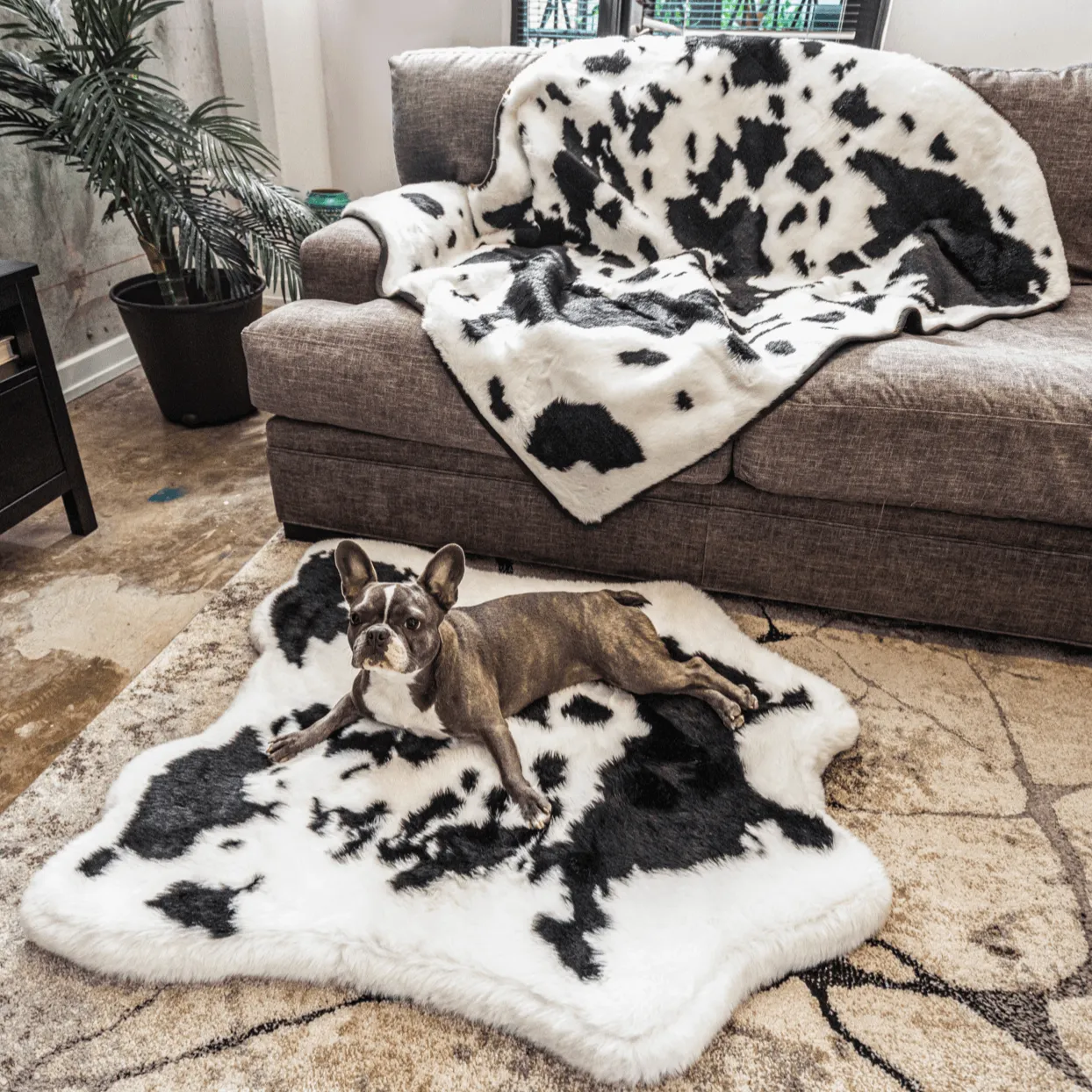 PupRug™ Junior Memory Foam Bed   Matching Waterproof Blanket Bundle - Black Faux Cowhide