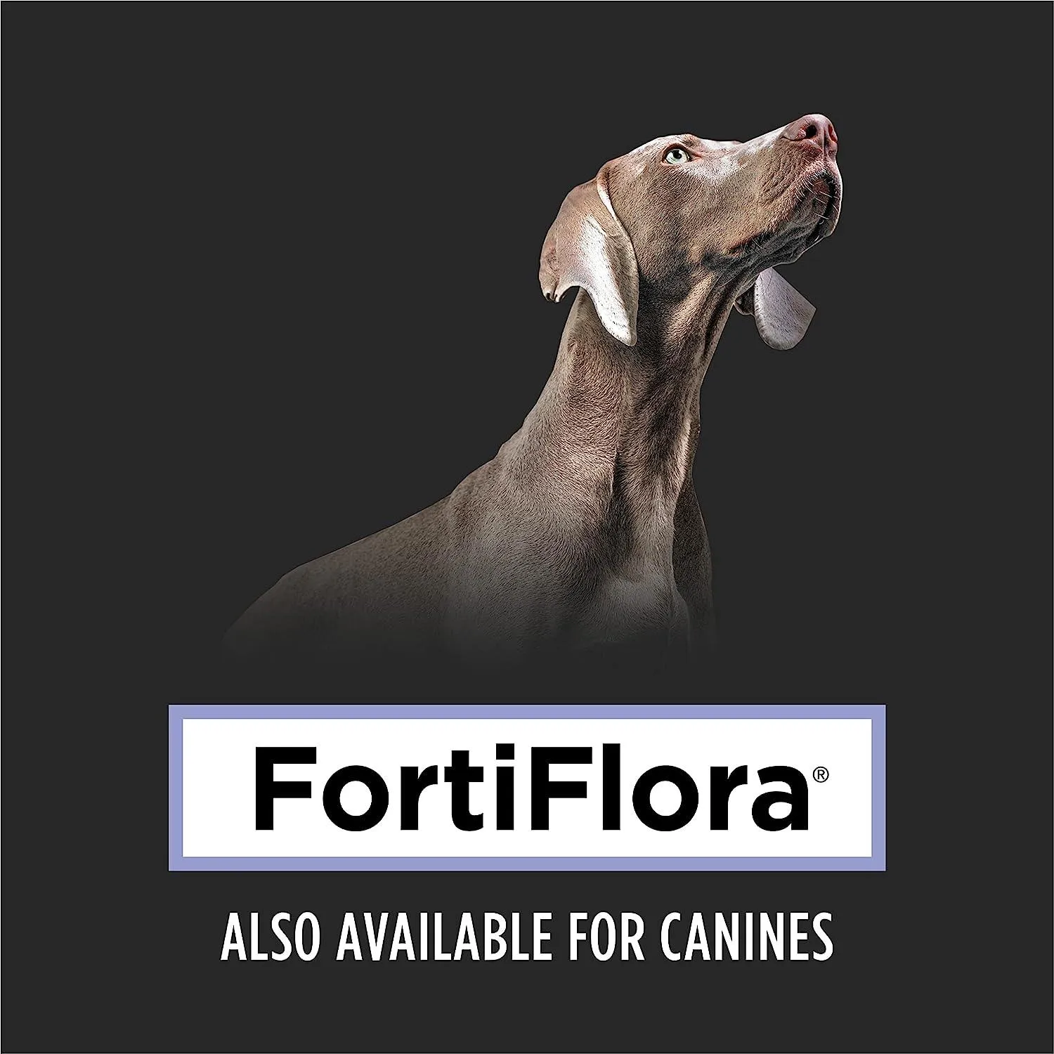 Purina Pro Plan Veterinary FortiFlora Probiotic Cat Supplement