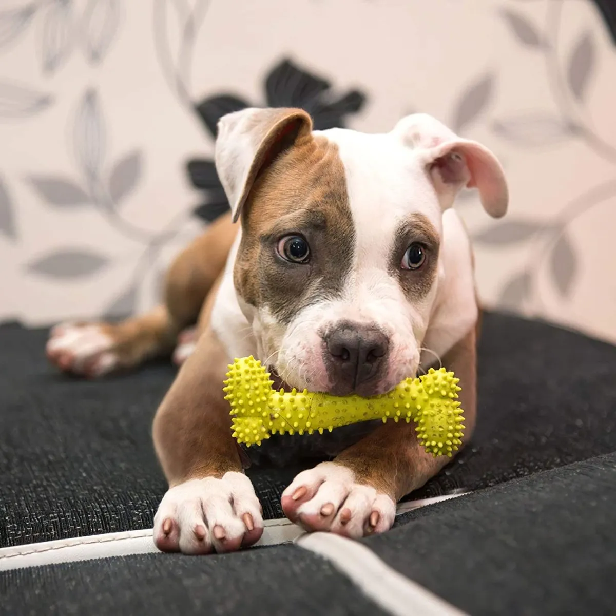 Rope and Slippers Chew Toy Set for Pets