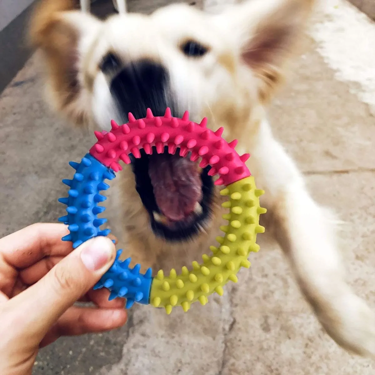 Rope and Slippers Chew Toy Set for Pets