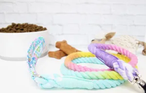 Rope Leash-Ombre Rainbow