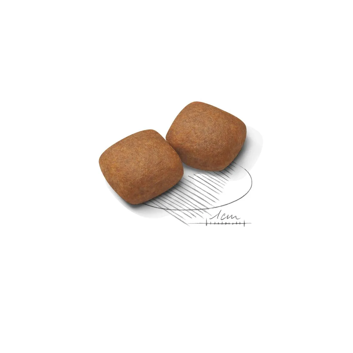 Royal Canin | Size Health Nutrition | Dry Dog Food | Junior Giant Breed - 15kg
