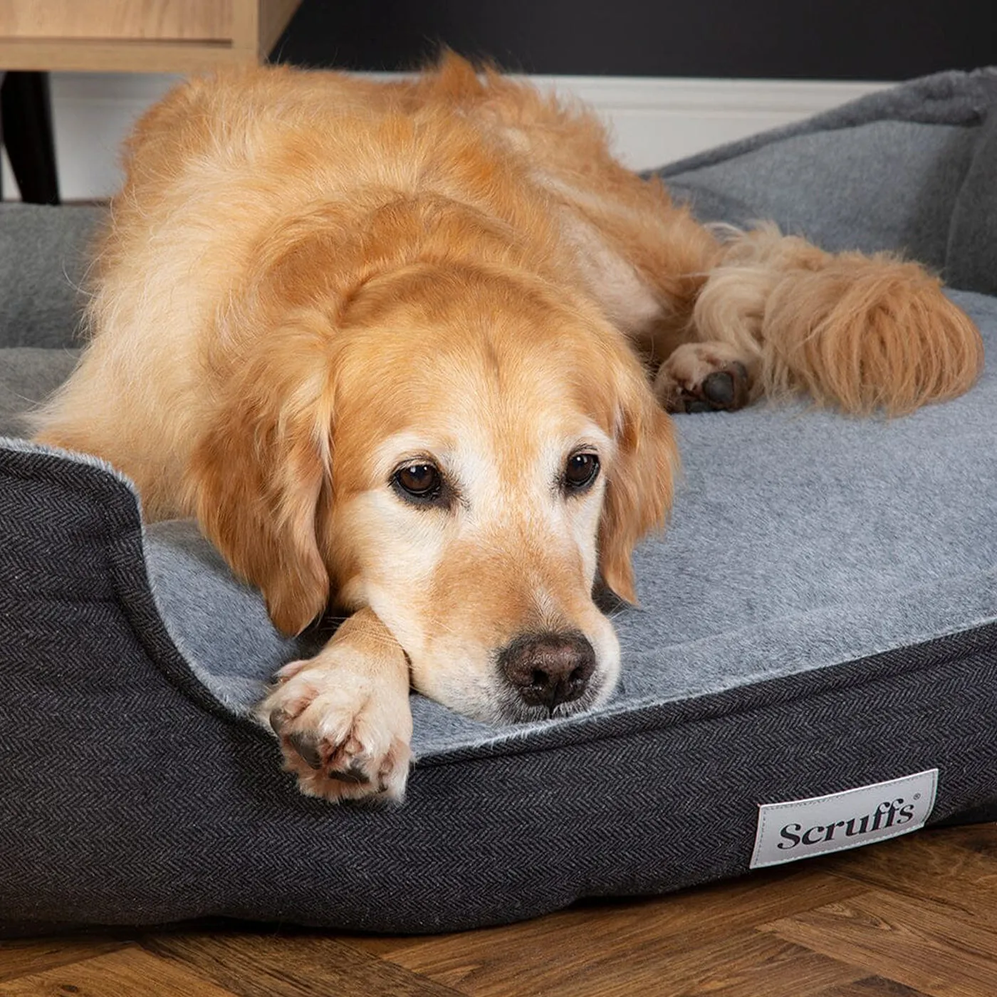 Scruffs Harvard Memory Foam Box Bed - Graphite Grey