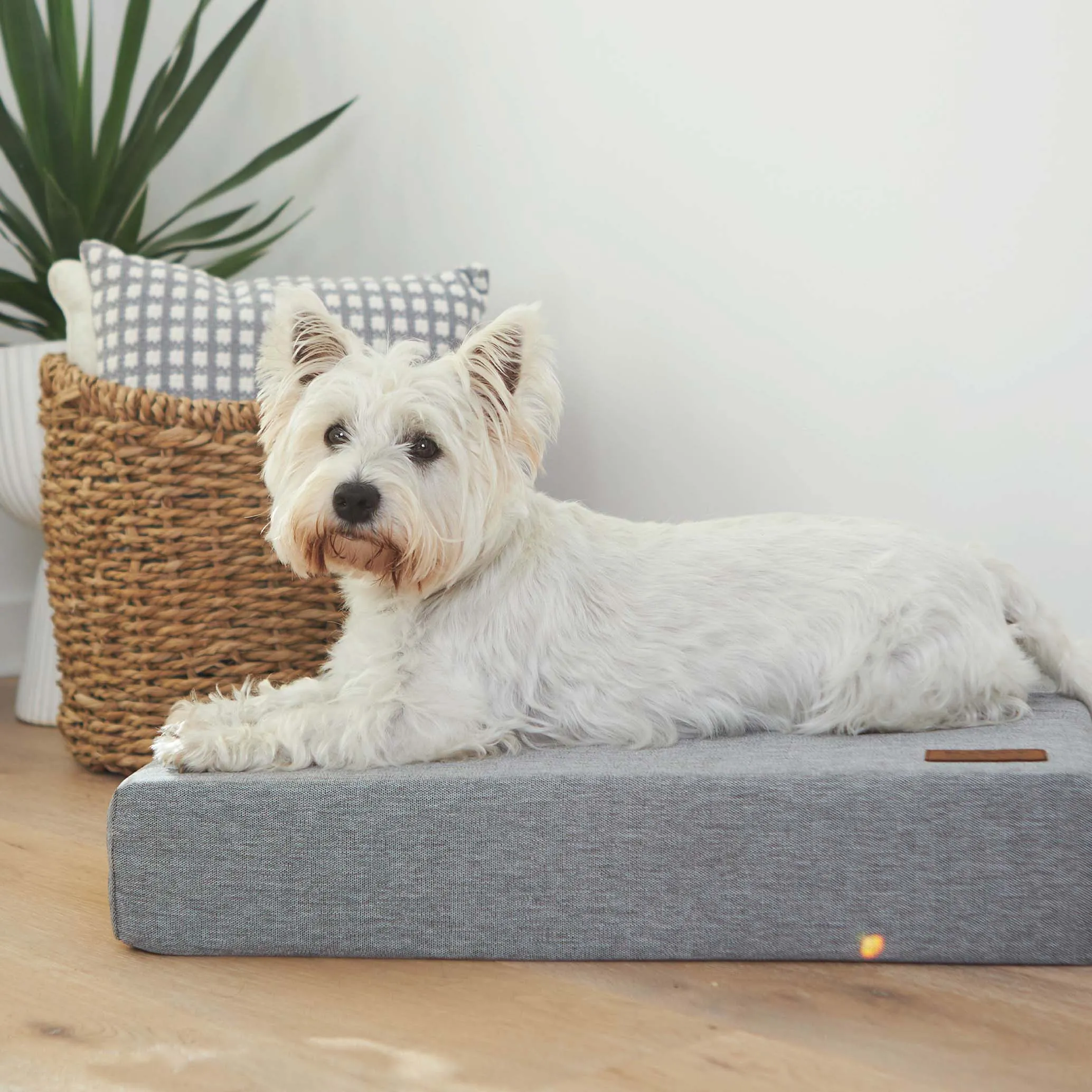 Slumber Dog Bed - Ash