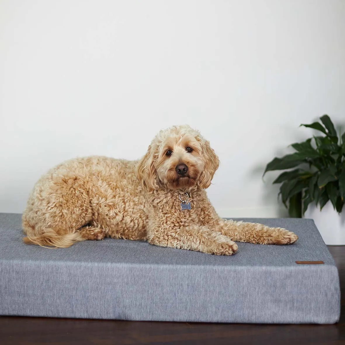 Slumber Dog Bed - Ash