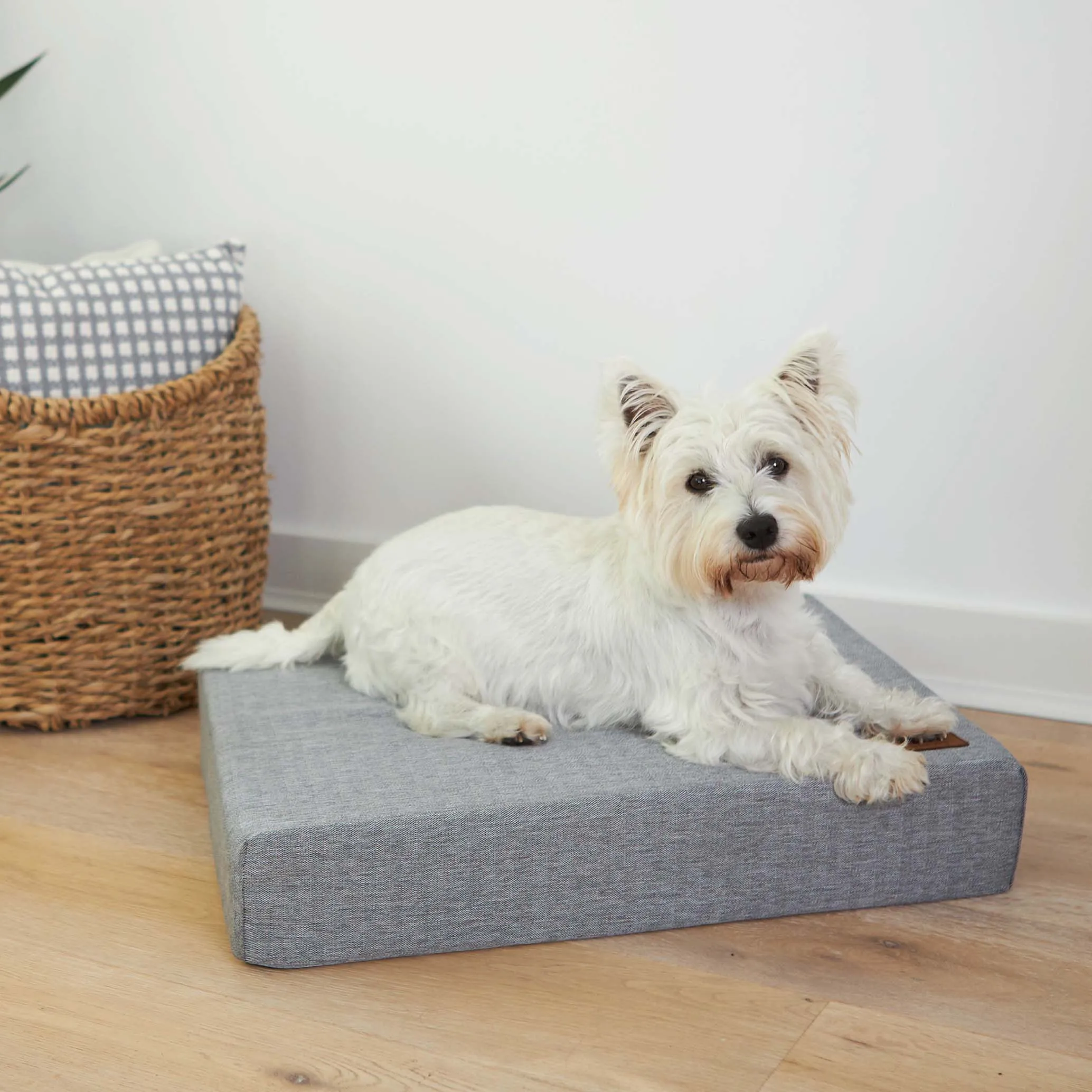 Slumber Dog Bed - Ash