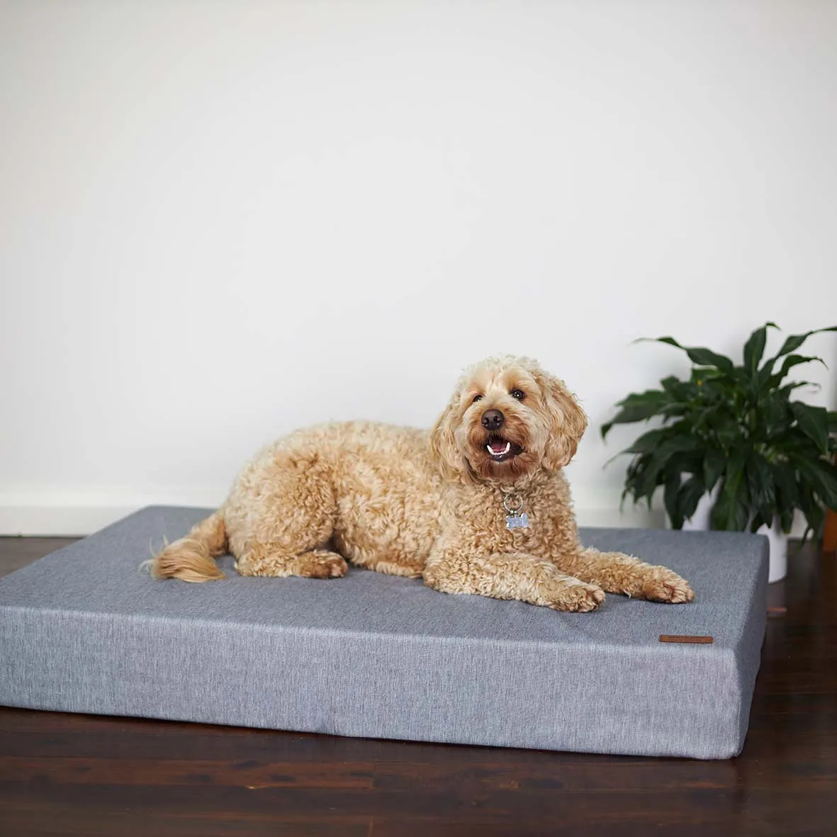Slumber Dog Bed - Ash