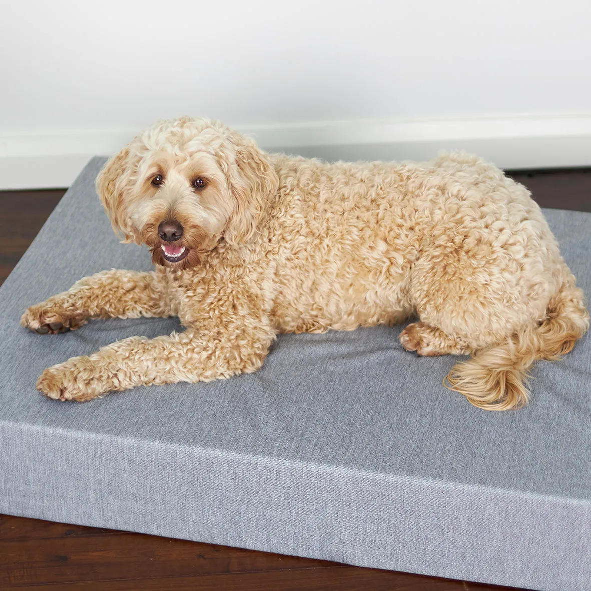 Slumber Dog Bed - Ash