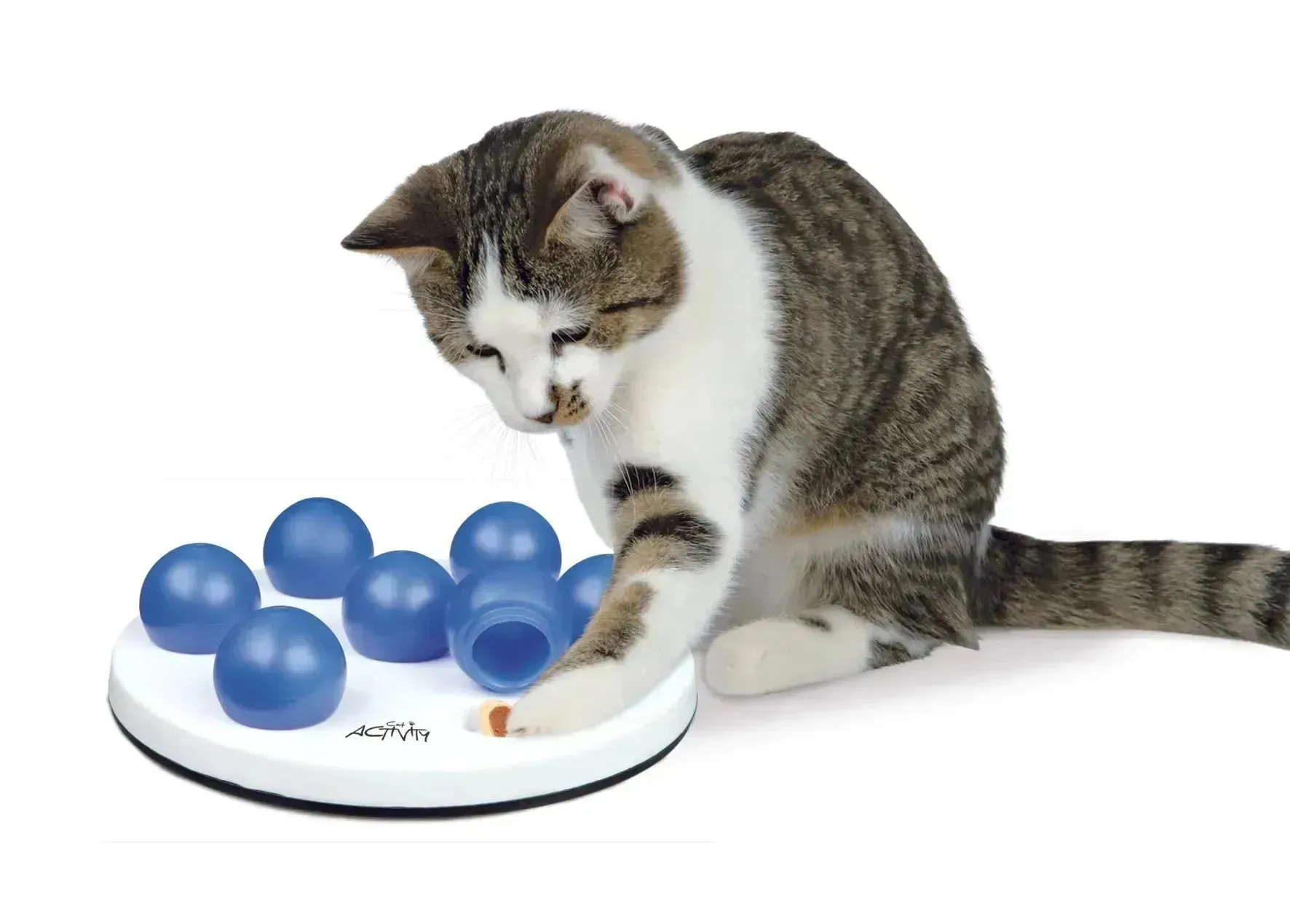 Solitaire Strategy Game for Cats