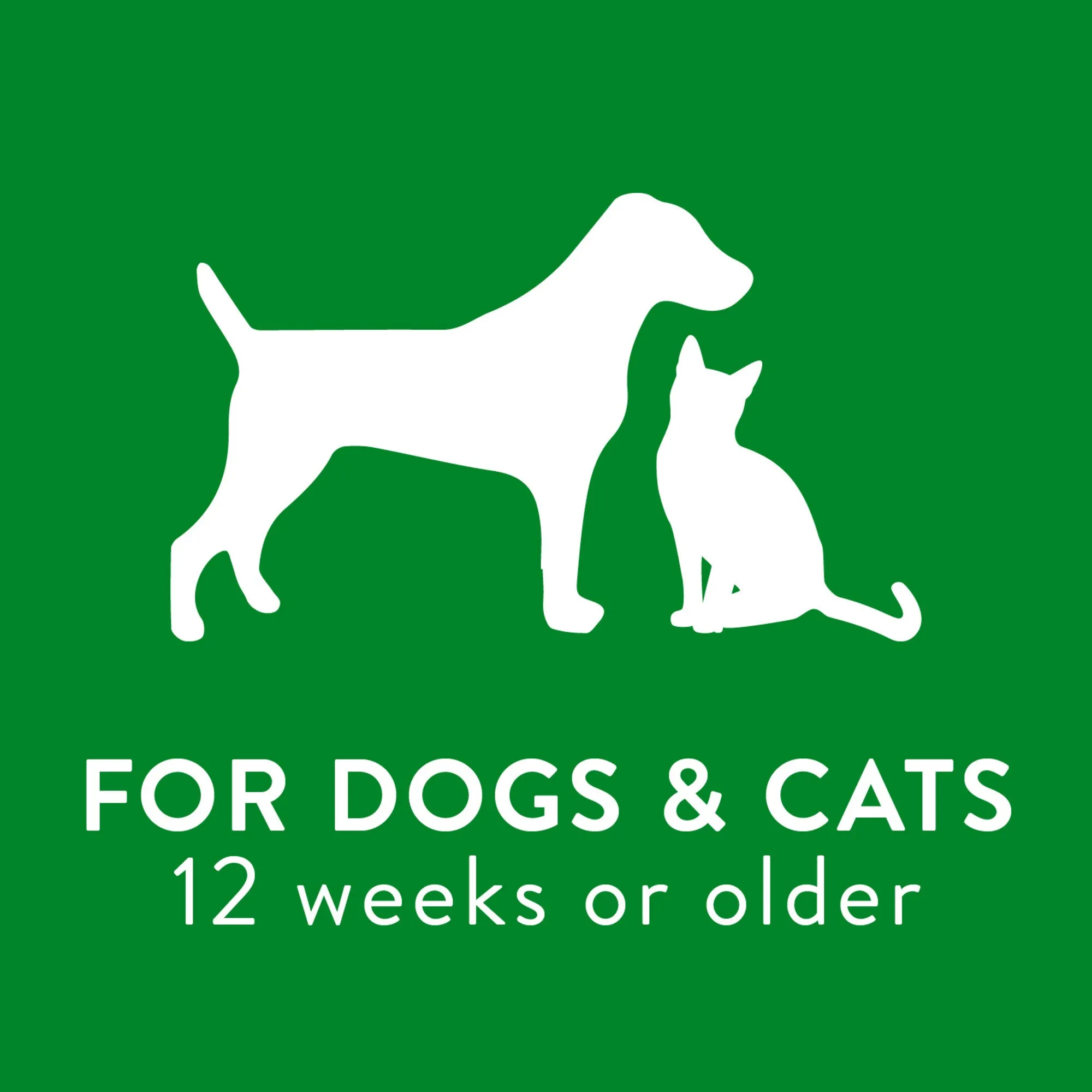 Tropiclean | Dog Ear Care | Cocoa Butter Alcohol Free Cleaner Wash - 118ml