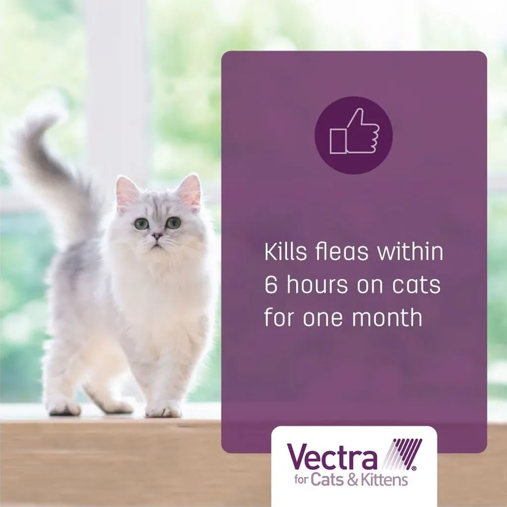 Vectra Flea & Tick Spot Treatment for Cats & Kittens, 2-9 lbs