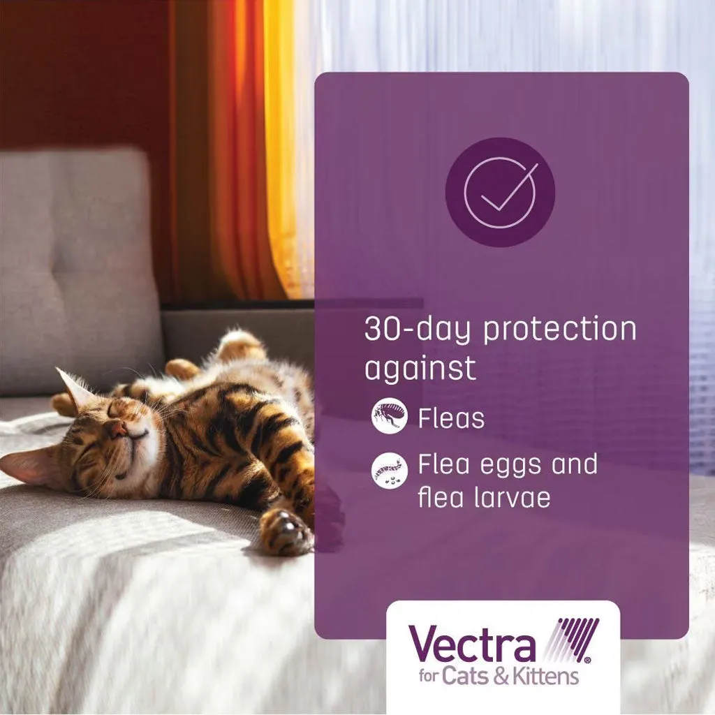 Vectra Flea & Tick Spot Treatment for Cats & Kittens, 2-9 lbs