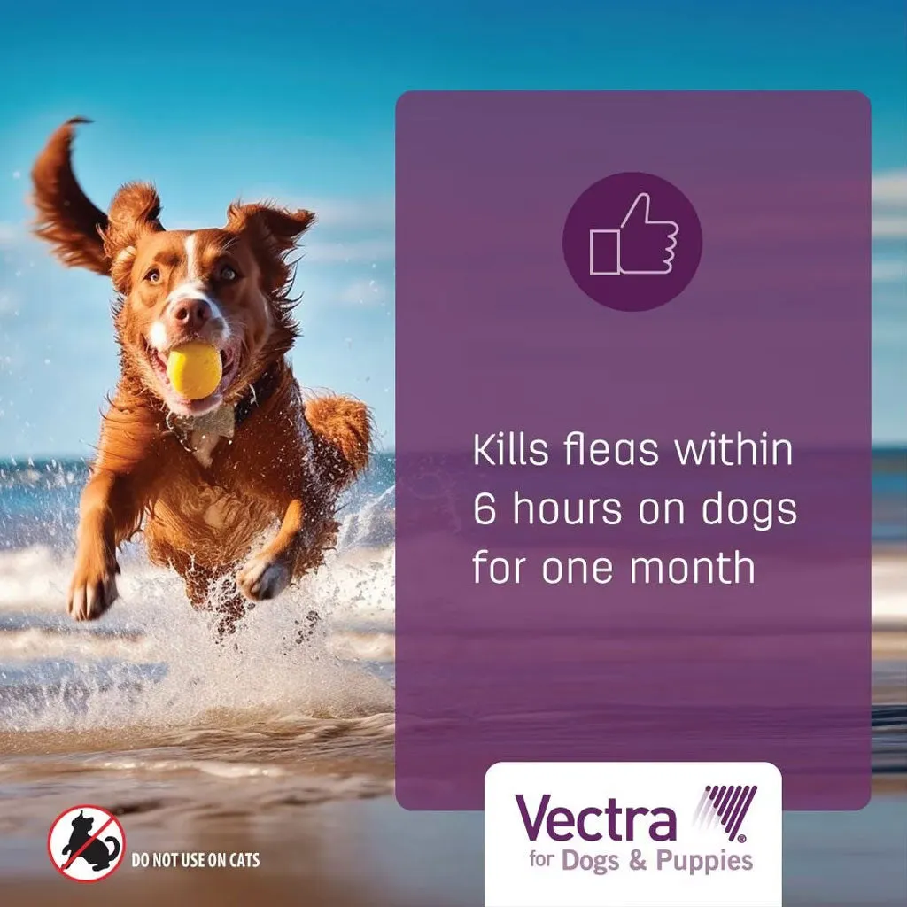 Vectra Flea and Tick Spot Treatment for Large Dogs & Puppies, 56-100 lbs