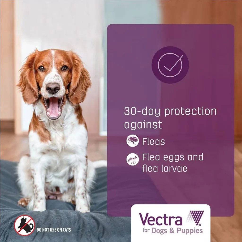 Vectra Flea and Tick Spot Treatment for Large Dogs & Puppies, 56-100 lbs